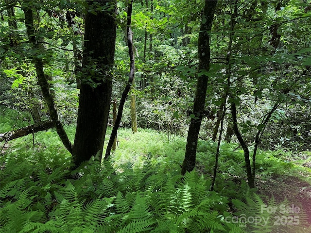 TBD Caroline Ln Unit 7R, Pisgah Forest, NC 28768