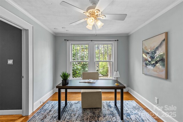 1600 Onslow Dr, Charlotte, NC 28205 - photo 30