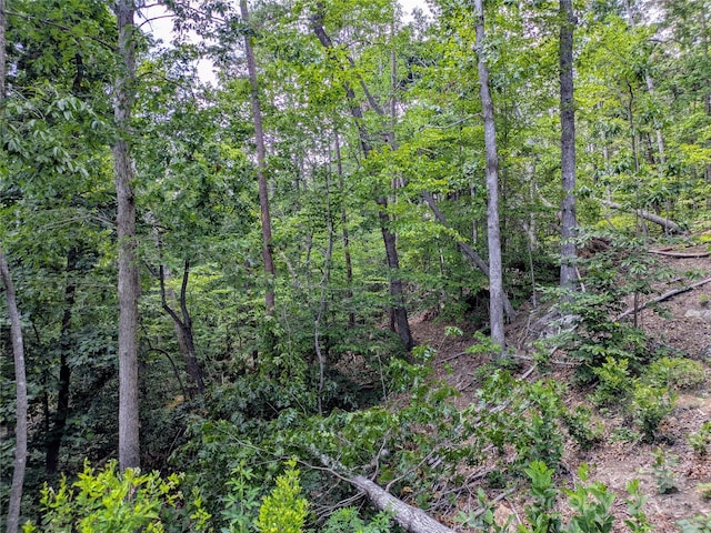 201 Smoky Mountain Dr, Marion, NC 28752 - photo 5