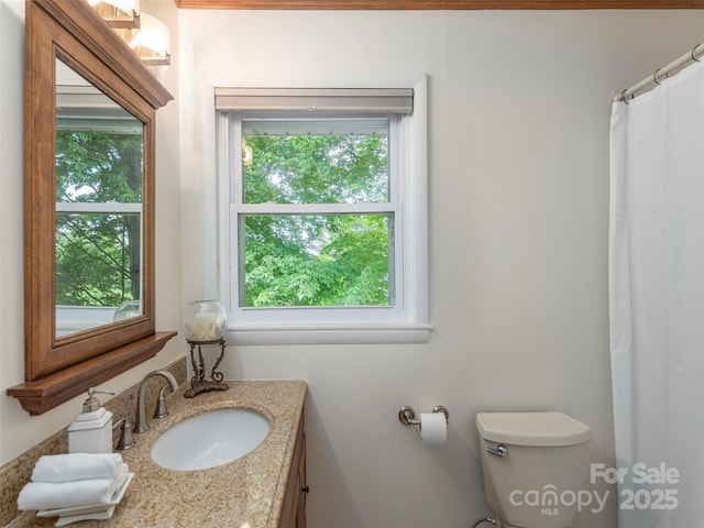 151 Ingram Loop, Clyde, NC 28721 - full bath featuring vanity, healthy amount of natural light, toilet, and a shower with shower curtain