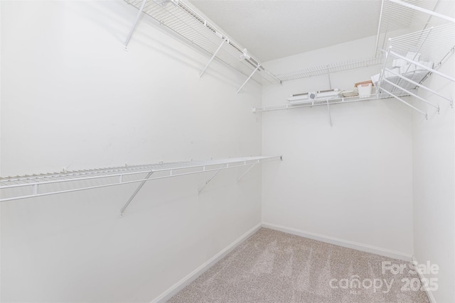 137 Citation Dr, Mooresville, NC 28117 - walk in closet with carpet