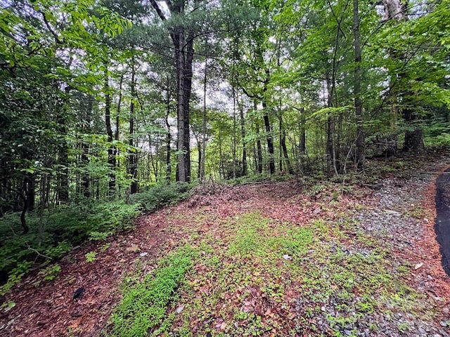 471 Highlands View Rd, Highlands, NC 28741 - view of tree filled area