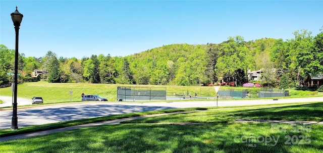 73 Ridgetop Cir Unit 302, Brevard, NC 28712 - view of community featuring a yard and a view of trees