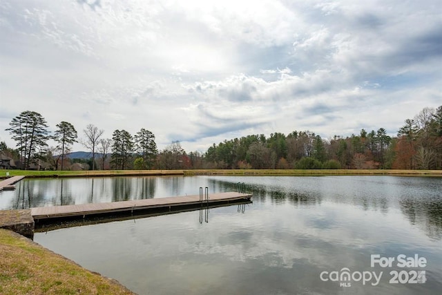 73 Ridgetop Cir Unit 302, Brevard, NC 28712 - dock featuring a water view and a view of trees