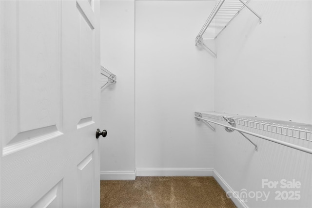 2765 Clover Rd NW, Concord, NC 28027 - walk in closet featuring carpet