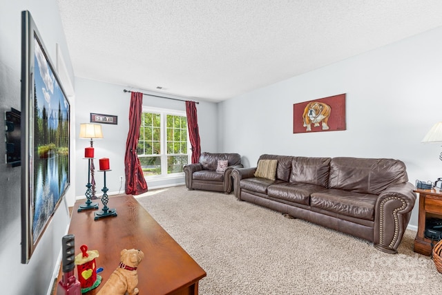 12712 Hollyhock Ln, Huntersville, NC 28078 - carpeted living area featuring a textured ceiling and baseboards