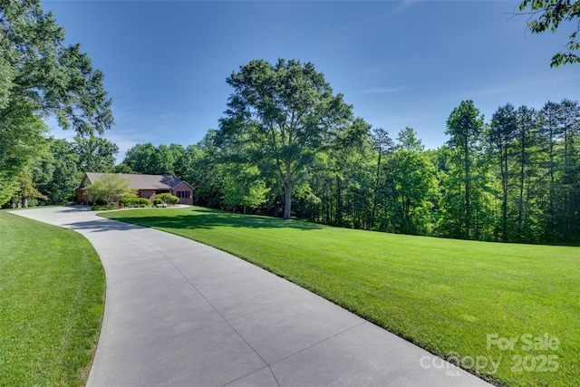 103 3rd St SW, Catawba, NC 28609 - view of grassy yard featuring driveway and a view of trees