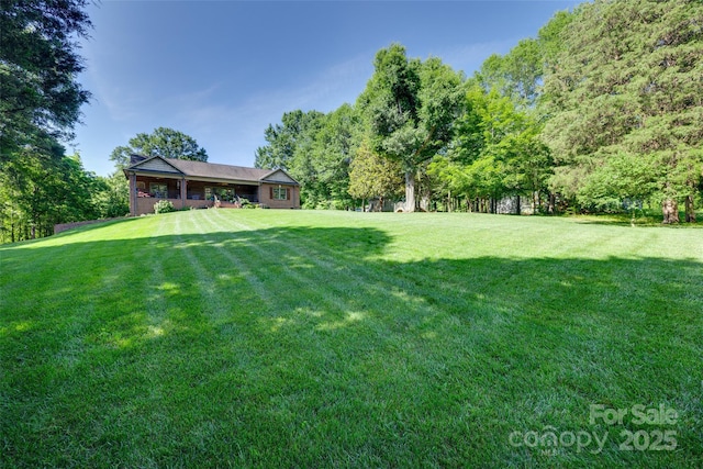 103 3rd St SW, Catawba, NC 28609 - view of grassy yard