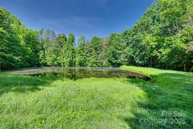 103 3rd St SW, Catawba, NC 28609 - view of yard featuring a water view and a forest view