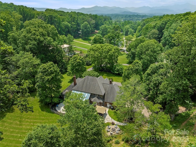 118 Holcombe Cove Rd, Candler, NC 28715 - photo 41