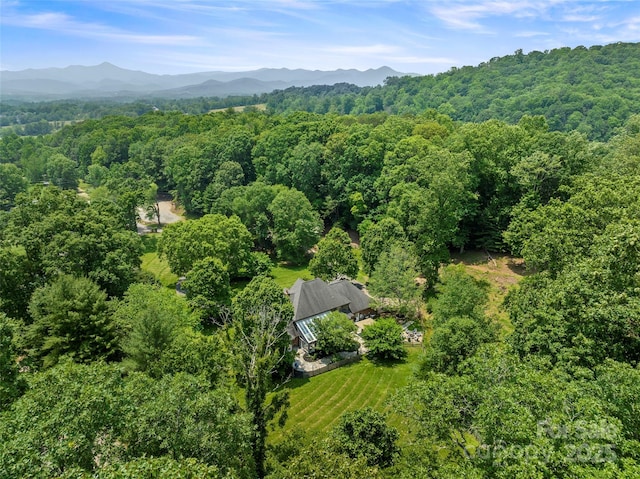 118 Holcombe Cove Rd, Candler, NC 28715 - photo 44