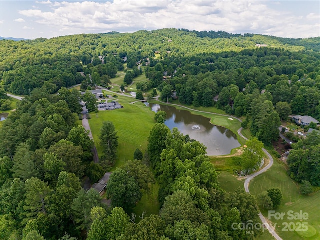 225 Sports Village Dr, Hendersonville, NC 28739 - photo 34