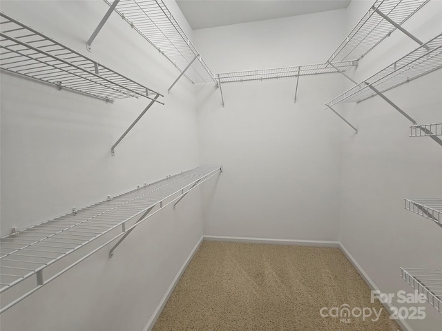 509 Settlers Grove Ln, Salisbury, NC 28146 - spacious closet featuring carpet