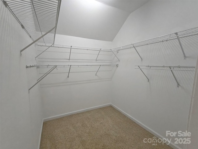 509 Settlers Grove Ln, Salisbury, NC 28146 - walk in closet with vaulted ceiling and carpet