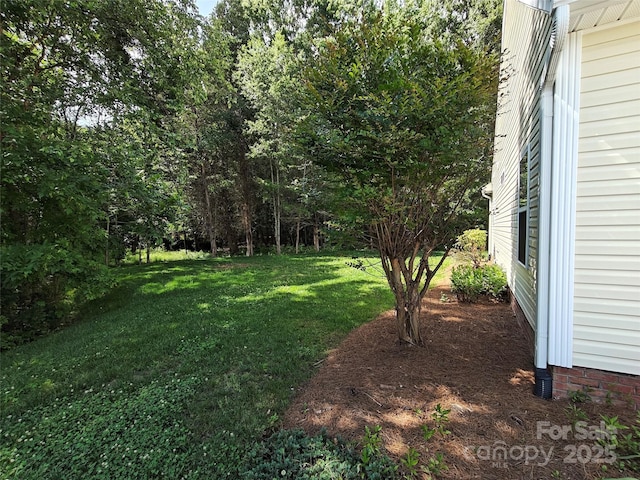 509 Settlers Grove Ln, Salisbury, NC 28146 - view of green lawn