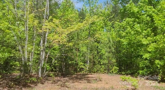 3601 Big Level Rd, Mill Spring, NC 28756