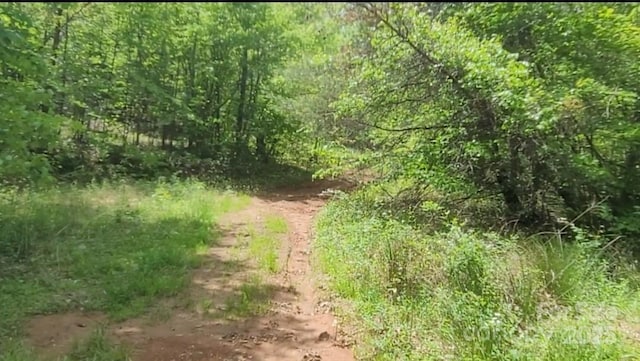 3601 Big Level Rd, Mill Spring, NC 28756