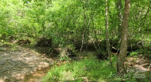 3601 Big Level Rd, Mill Spring, NC 28756