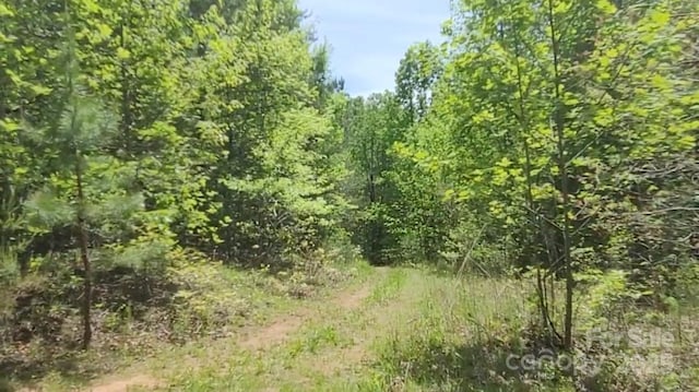 3601 Big Level Rd, Mill Spring, NC 28756