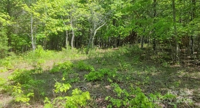 3601 Big Level Rd, Mill Spring, NC 28756