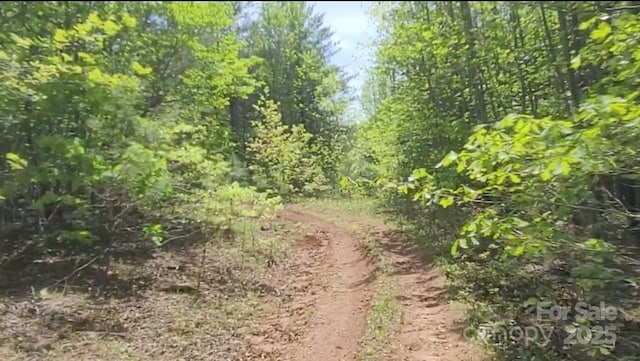 3601 Big Level Rd, Mill Spring, NC 28756