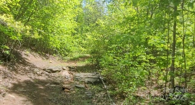 3601 Big Level Rd, Mill Spring, NC 28756