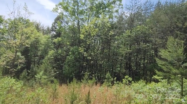 3601 Big Level Rd, Mill Spring, NC 28756