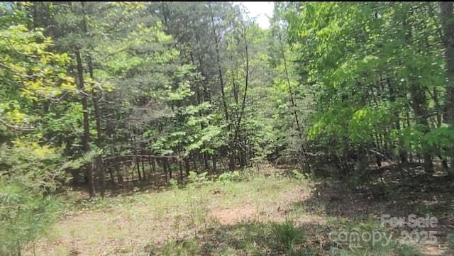 3601 Big Level Rd, Mill Spring, NC 28756