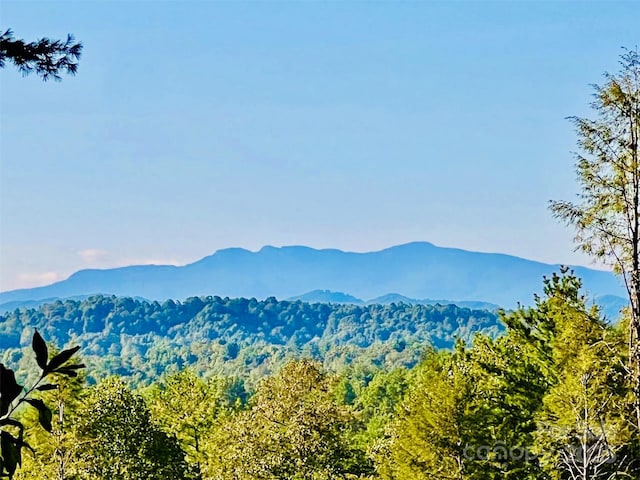 2058 Thoroughbred Way 2.07Acres Lot G16, Lenoir, NC 28645