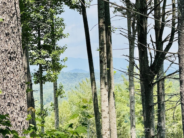 2058 Thoroughbred Way 2.07Acres Lot G16, Lenoir, NC 28645