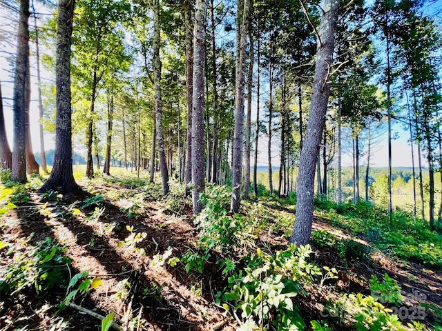 2058 Thoroughbred Way 2.07Acres Lot G16, Lenoir, NC 28645