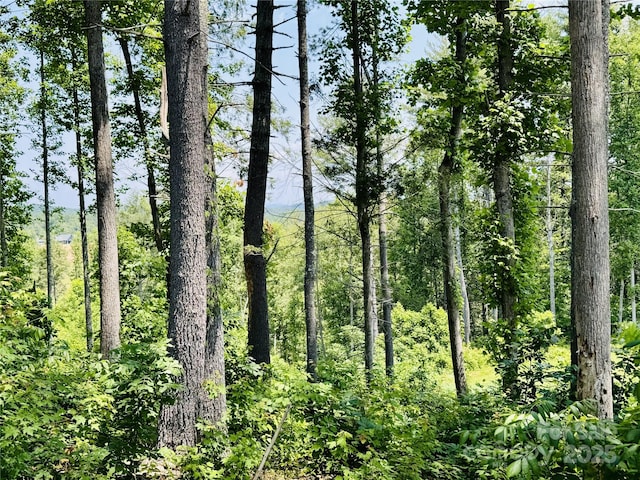 2058 Thoroughbred Way 2.07Acres Lot G16, Lenoir, NC 28645