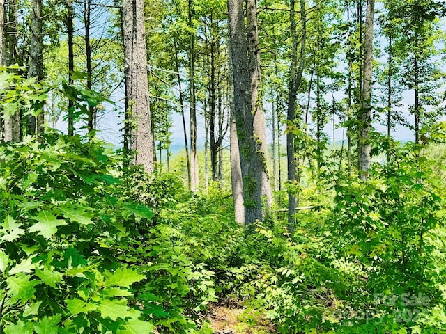 2058 Thoroughbred Way 2.07Acres Lot G16, Lenoir, NC 28645