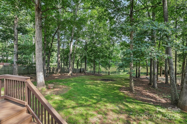 10311 Windtree Ln, Charlotte, NC 28215 - view of yard