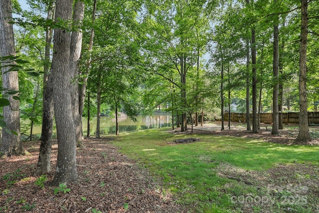 10311 Windtree Ln, Charlotte, NC 28215 - view of yard with a water view