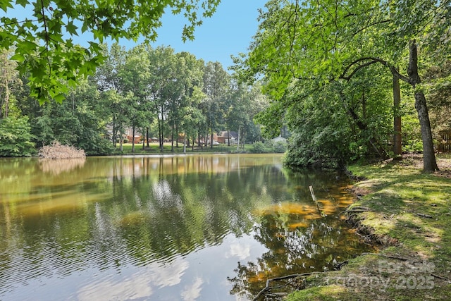 10311 Windtree Ln, Charlotte, NC 28215 - water view