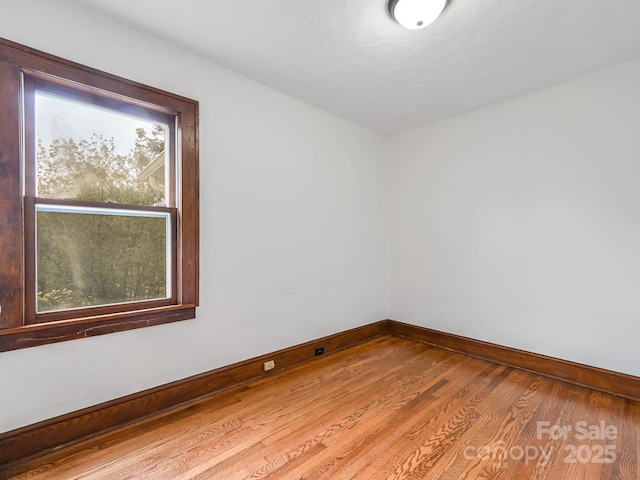 95 Arco Rd, Asheville, NC 28805 - photo 17