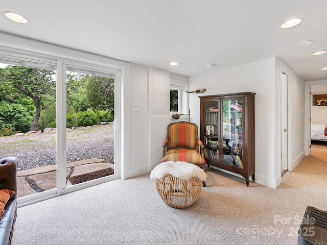 95 Arco Rd, Asheville, NC 28805 - photo 25