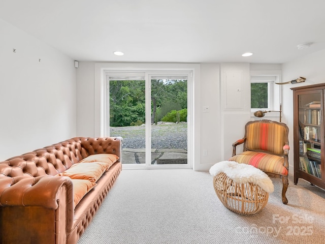 95 Arco Rd, Asheville, NC 28805 - photo 26
