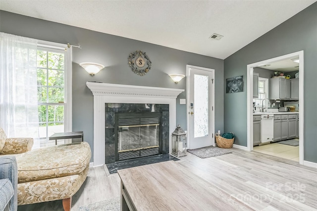 60 Southchase Dr, Fletcher, NC 28732 - living area featuring light wood finished floors, vaulted ceiling, a premium fireplace, and baseboards