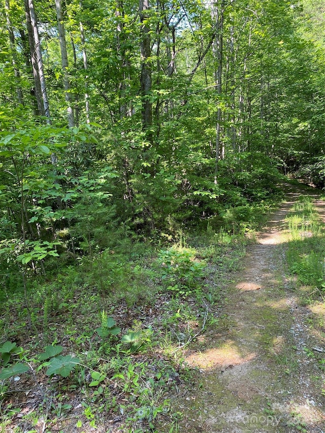 0 Falcons Ave Unit 12, Lake Lure, NC 28746