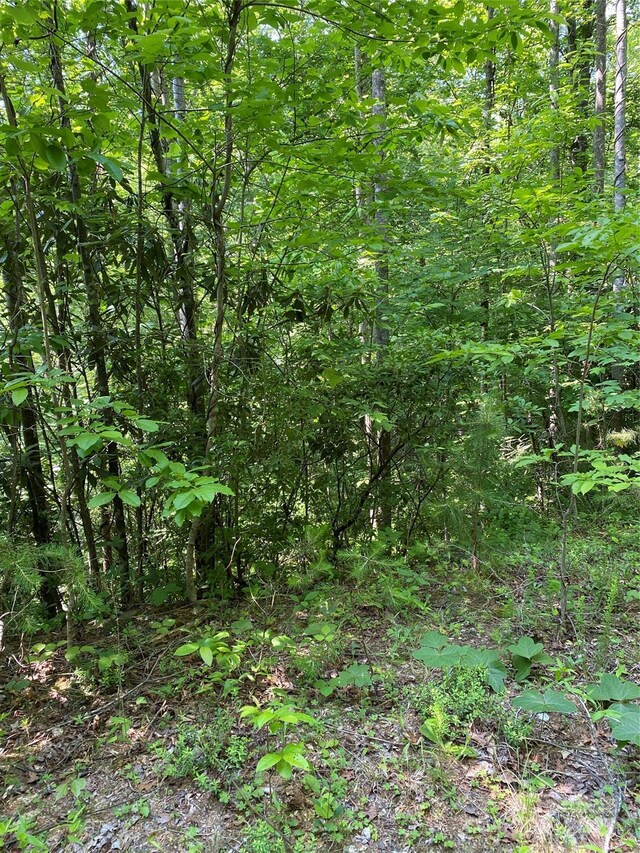 0 Falcons Ave Unit 12, Lake Lure, NC 28746