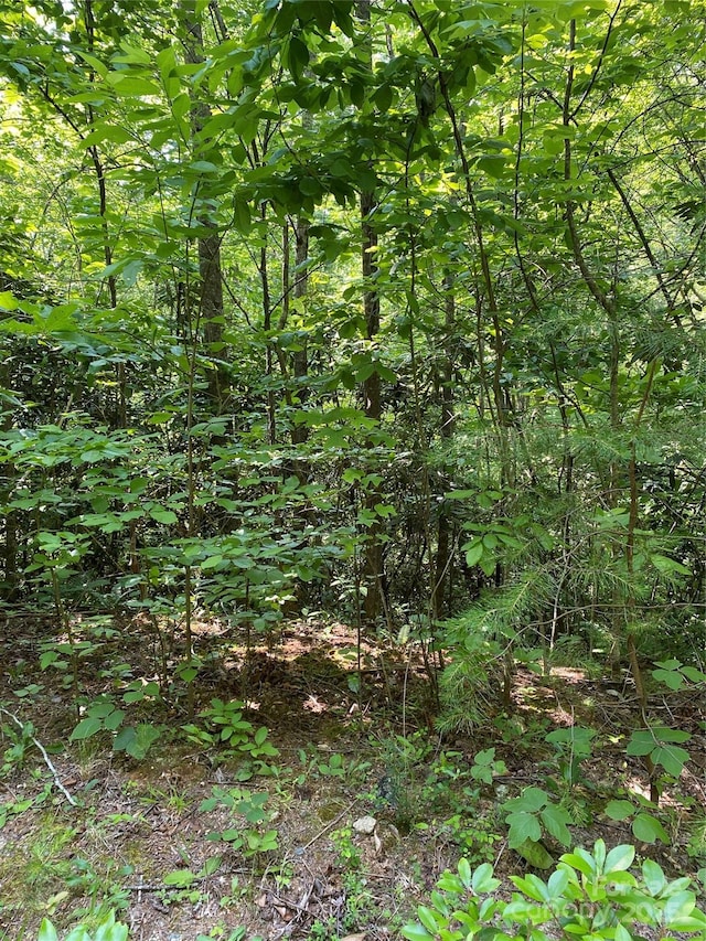 0 Falcons Ave Unit 12, Lake Lure, NC 28746