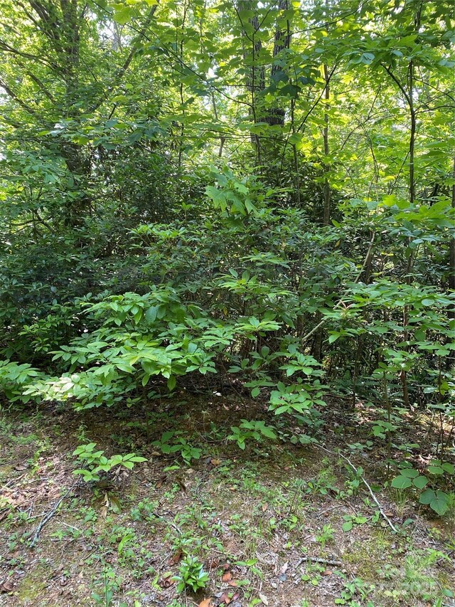 0 Falcons Ave Unit 12, Lake Lure, NC 28746