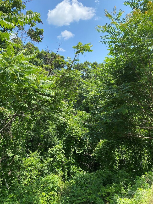 0 Falcons Ave Unit 12, Lake Lure, NC 28746