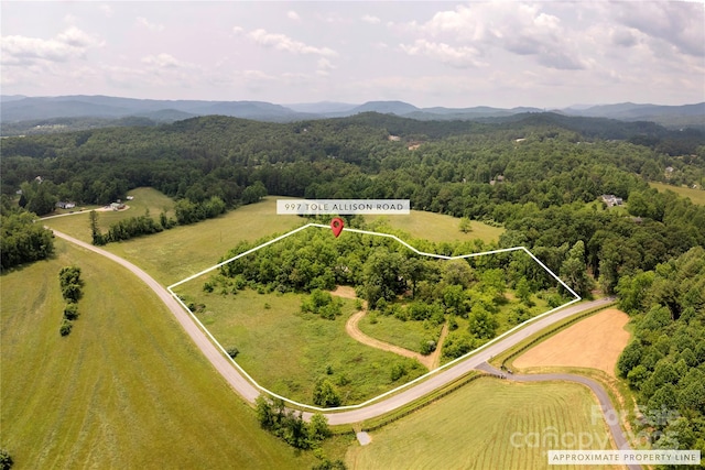 997 Tole Allison Rd, Mills River, NC 28759