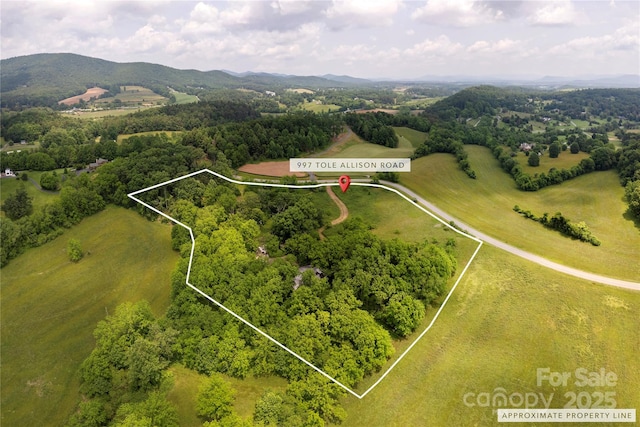 997 Tole Allison Rd, Mills River, NC 28759