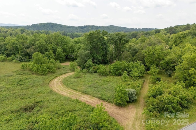 997 Tole Allison Rd, Mills River, NC 28759