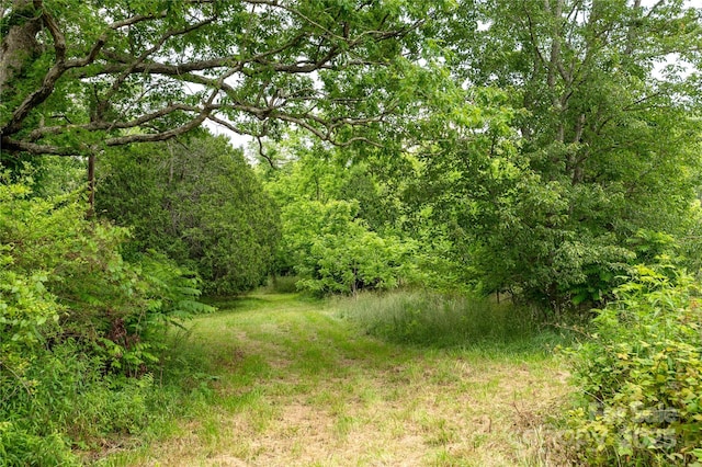 997 Tole Allison Rd, Mills River, NC 28759
