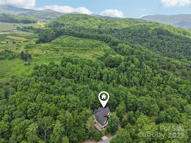 398 Falling Leaves Ln, Hendersonville, NC 28792 - photo 45